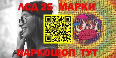 гашик Кунгур