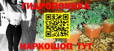 гашик Кунгур