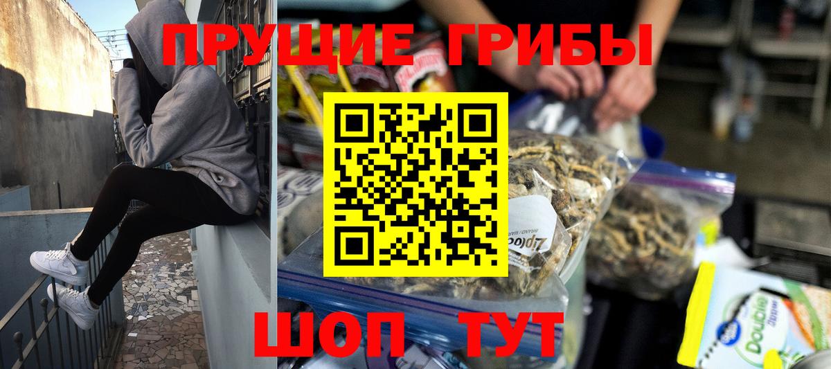 Псилоцибиновые грибы прущие грибы Туймазы